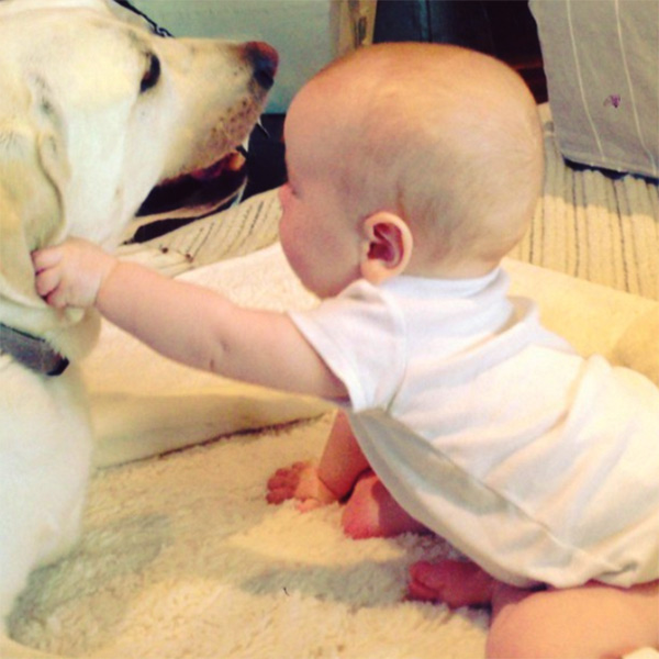 Dog and Baby