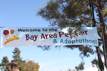 Bay Area Pet Fair and Adoptathon