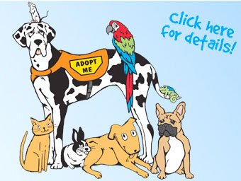 Bay Area Pet Fair Logo