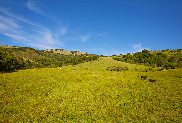 Carr Ranch