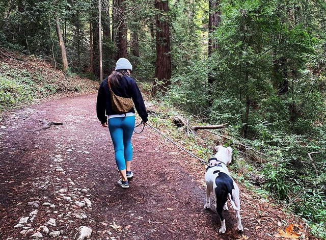 woman and dog on Pogonip Open Space trail