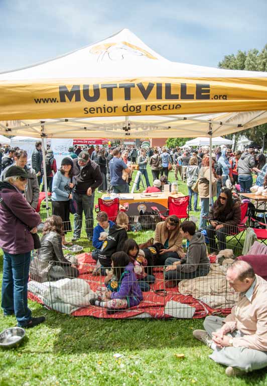 DogFest, San Francisco