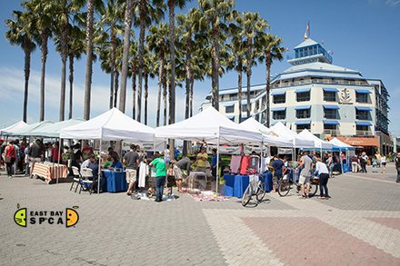 East Bay Adoptathon at Jack London Square