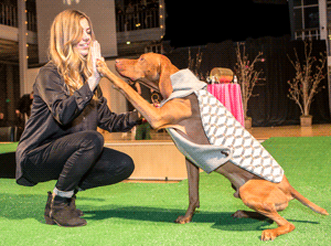 Haught Dog High Five