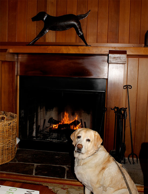 Kayla at Stanford Inn