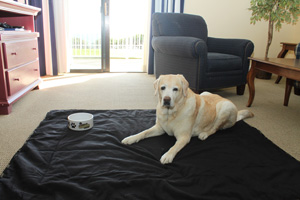 Kayla on a blanket at Pismo Lighthouse Suites