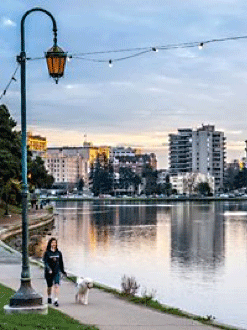 Dog walker at Lake Merritt