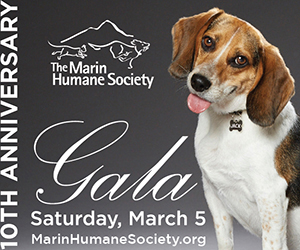 Marin Humane gala