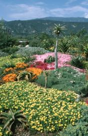 Santa Barbara Botanic Garden