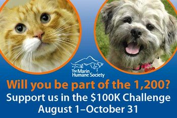 Marin Humane Society 100K Challenge