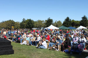 People and Dogs on a Lawn