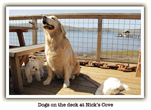 Nick's Cove deck