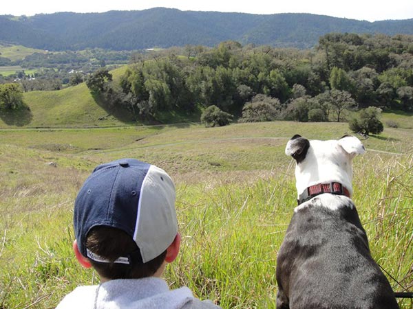 dog kid overlooking other place