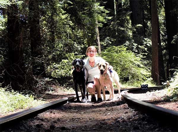 Roaring Camp Railroads