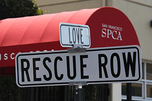 Rescue Row Sign