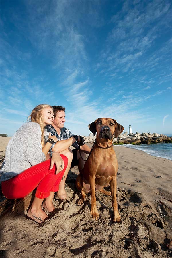 Santa Cruz couple with dog