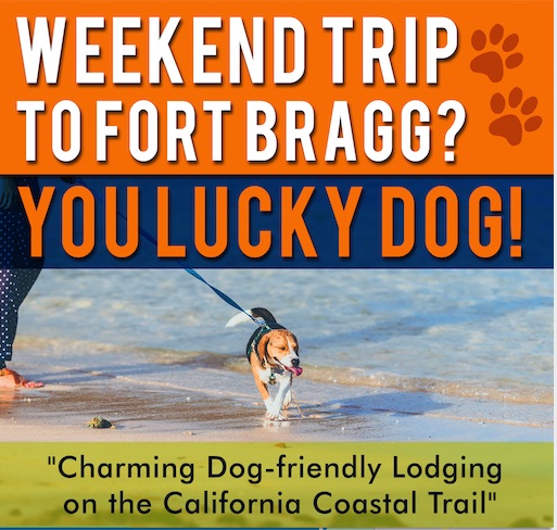 weekend to fort bragg, you lucky dog!