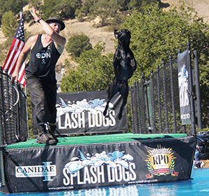 Splash Dogs at Bay Area Pet Fair