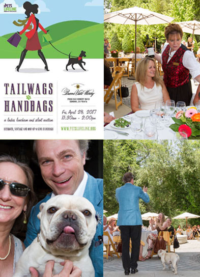 Tailwags and Handbags