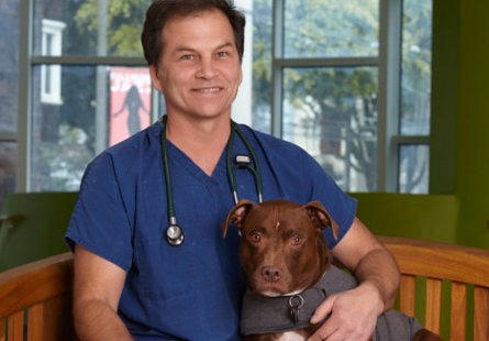 San Francisco veterinary staff