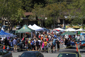 Mill Valley Dog Show 3