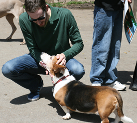 Scott Wiener and basset hound