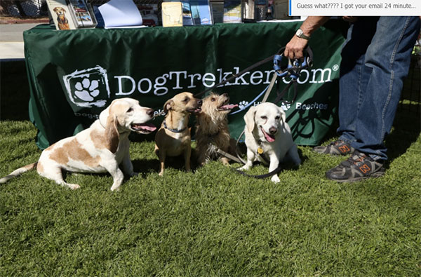 Woofstock dogs at DogTrekker.com booth